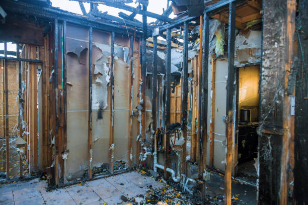 Professional Structural Rebuild technician working in Baxter, MN